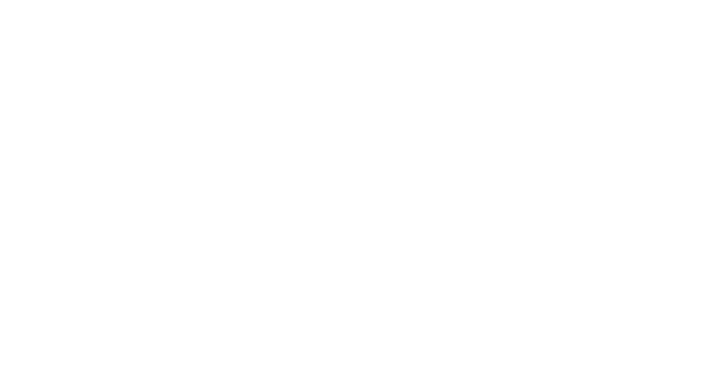 Security Council Report